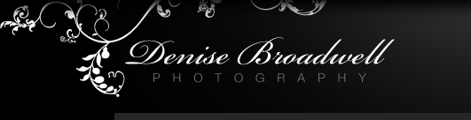 Denise Broadwell Photography - Weddings, People, Nature, Action - Santa Cruz, CA