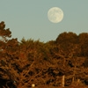 Denise Broadwell Photography - Natural Bridges Full Moon